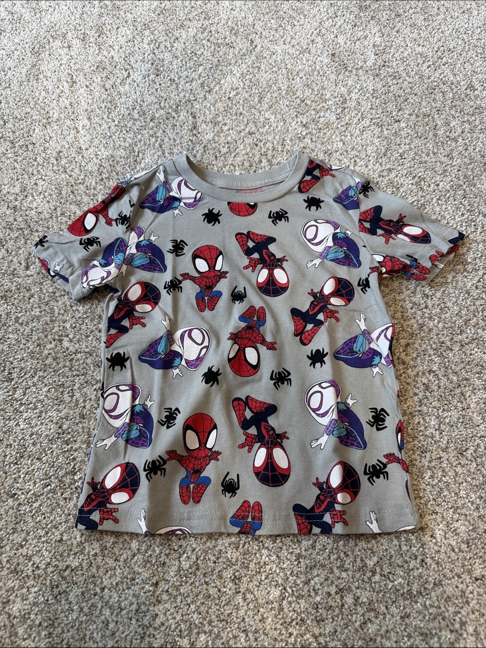 Marvel Spidey & His Amazing Friends Tee - 5T